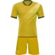 Футбольная форма ЭКИПО STRIPE Желтый цвет