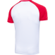 Футболка игровая JOGEL CAMP Reglan Jersey, белый/красный, детский