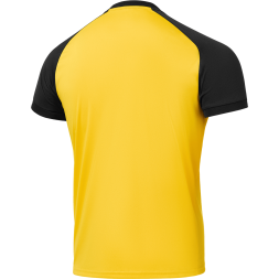 Футболка игровая JÖGEL CAMP Reglan Jersey, желтый