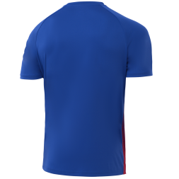 Футболка игровая JOGEL CAMP Striped Jersey, красный/синий, детский