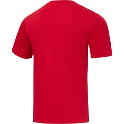 Футболка тренировочная JOGEL DIVISION PerFormDRY Training CVC R2, красный