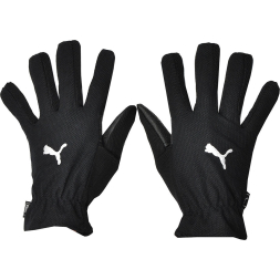 Перчатки PUMA Winter Players, 04001401-10, размер 10, черный