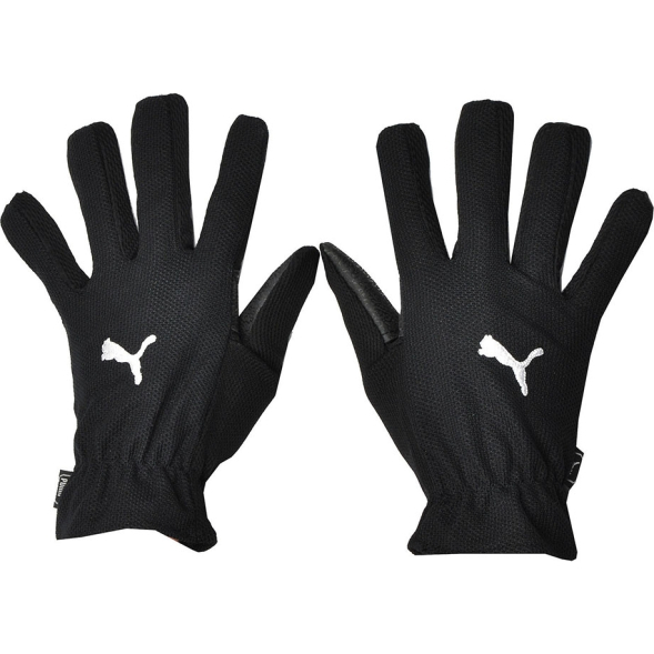 Перчатки PUMA Winter Players, 04001401-10, размер 10, черный