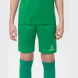 Шорты игровые JOGEL CAMP Classic Shorts, зеленый/белый, детский