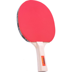 Набор для настольного тенниса TORRES Control 10 TT0010, 2 ракетки, 3 мяча, сетка, сумка-чехол