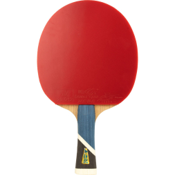 Ракетка для настольного тенниса DOUBLE FISH 5A+C, ITTF Approved, + 2 мяча