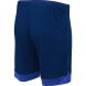 Шорты игровые JOGEL DIVISION PerFormDRY Union Shorts, темно-синий/синий/белый, детский