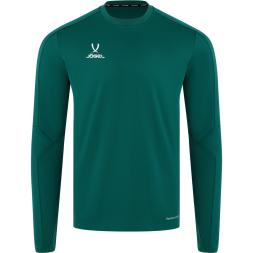 Джемпер тренировочный JÖGEL DIVISION PerFormDRY Pro Training Top, темно-зеленый, детский