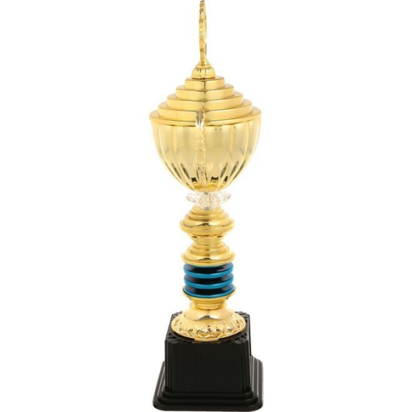 Кубок 176C, зол., подставка пластик, 30 × 14 × 8,5 см