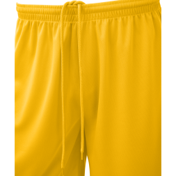 Шорты баскетбольные JÖGEL CAMP Basic, желтый