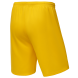 Шорты баскетбольные JOGEL CAMP Basic, желтый