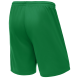 Шорты баскетбольные JOGEL CAMP Basic, зеленый