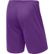 Шорты баскетбольные JOGEL CAMP Basic, фиолетовый