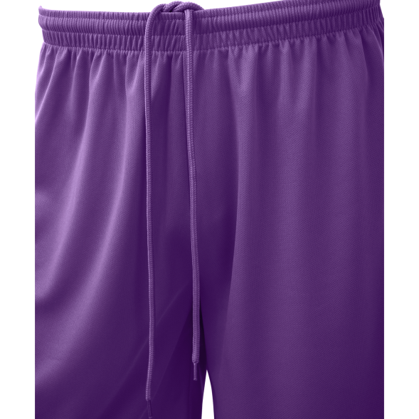 Шорты баскетбольные JOGEL CAMP Basic, фиолетовый