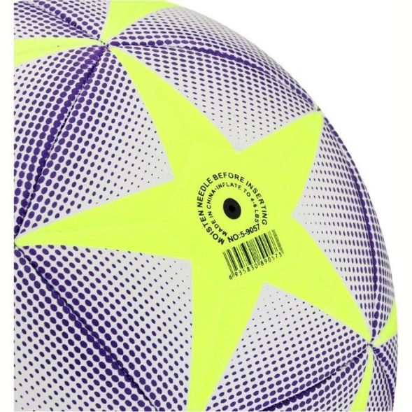 Мяч футбольный MINSA, TPU, машинная сшивка, 12 панелей, р. 5