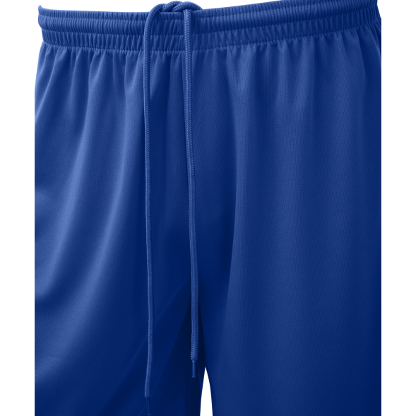 Шорты баскетбольные JOGEL CAMP Basic, синий