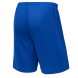 Шорты баскетбольные JOGEL CAMP Basic, синий