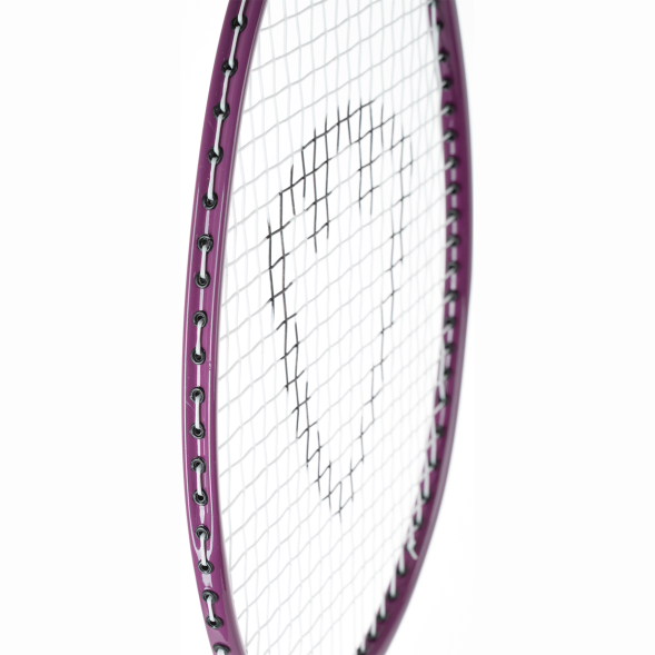 Набор для бадминтона TORRES Leisure Set BD23520, 2 ракетки