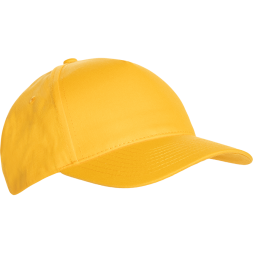 Бейсболка STAN 5 клиньев хлопок 150, 10L