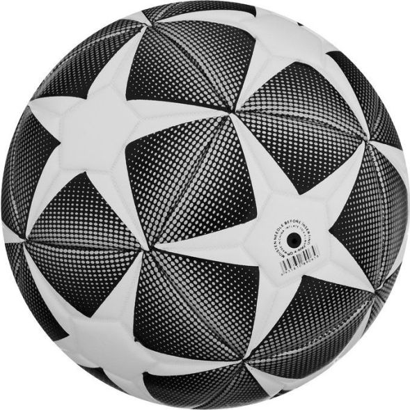 Мяч футбольный MINSA, PU, машинная сшивка, 32 панели, р. 4