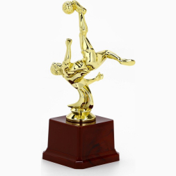 Наградная фигура кубок «Футболист», B, золото, подставка пластик, 20 х 10 х 7,5 см