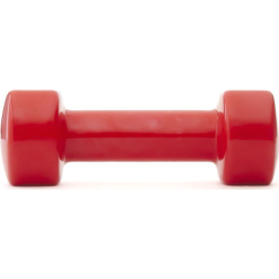 Гантель виниловая Atemi, AD0525, чугун, 2,5 кг