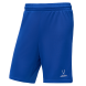 Шорты баскетбольные JÖGEL PerformDry Division Star, синий