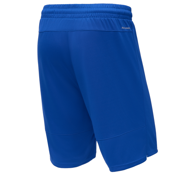 Шорты баскетбольные JÖGEL PerformDry Division Star, синий