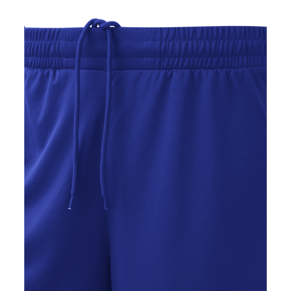 Шорты баскетбольные JÖGEL PerformDry Division Star, синий