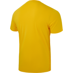 Футболка вратарская JÖGEL DIVISION PerFormDRY SPLASH GK Jersey, желтый