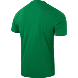 Футболка вратарская JÖGEL DIVISION PerFormDRY SPLASH GK Jersey, зеленый, детский