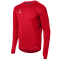 Джемпер тренировочный DIVISION PerFormDRY Pro Training Top, красный