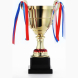 Кубок 185В, зол., триколор, подставка пластик, 26 × 16 × 8.5 см
