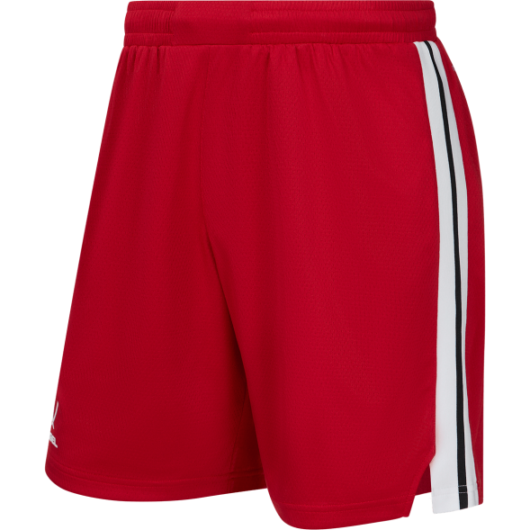 Шорты баскетбольные JOGEL DIVISION PerFormDRY Shorts R2, красный