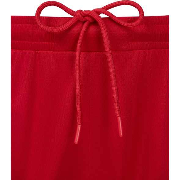 Шорты баскетбольные JOGEL DIVISION PerFormDRY Shorts R2, красный