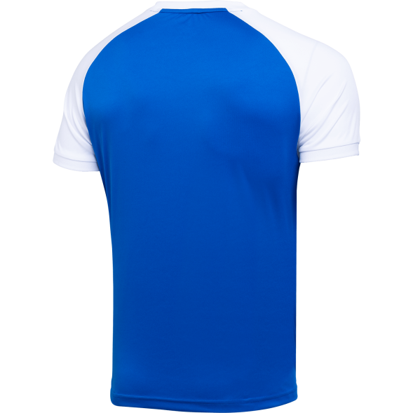 Футболка игровая JOGEL CAMP Reglan Jersey, синий/белый, детский