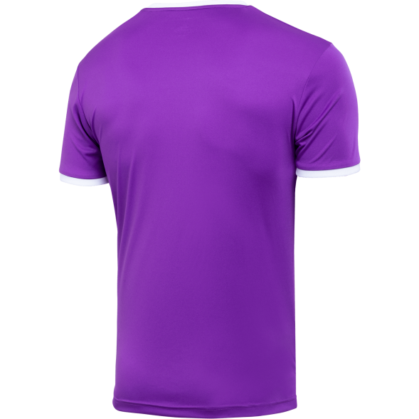 Футболка футбольная JOGEL CAMP Origin, фиолетовый/белый