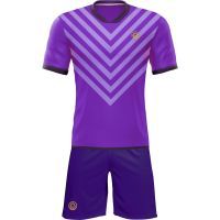 Футбольная форма ЭКИПО CORNER Фиолетовый цвет