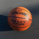 Мяч баск. SPALDING TF-250 React 76803z, р.5, композит. кожа (ПУ), коричн-черн.