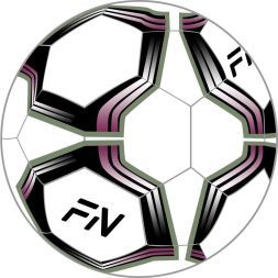 Футзальный мяч FN Futsal Ball