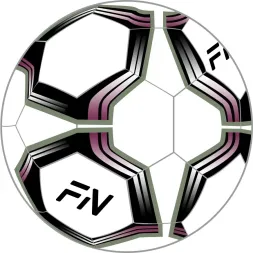 Футзальный мяч FN Futsal Ball
