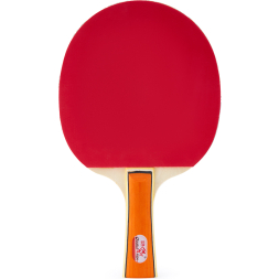 Набор для настольного тенниса DOUBLE FISH 036A, 2 ракетки и 3 мяча