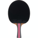 Ракетка для настольного тенниса DOUBLE FISH J8 в комплекте с чехлом
