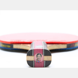 Ракетка для настольного тенниса DOUBLE FISH J8 в комплекте с чехлом