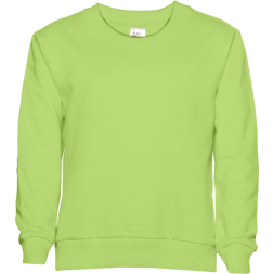 Свитшот детский STAN футер без начёса, 260, 63J