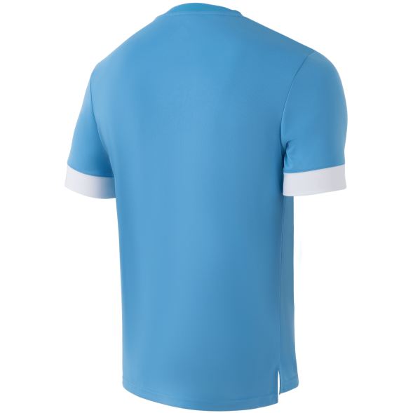 Футболка игровая JOGEL DIVISION PerFormDRY Union Jersey, голубой/белый/белый