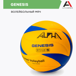 Мяч волейбольный ALPHAKEEPERS GENESIS