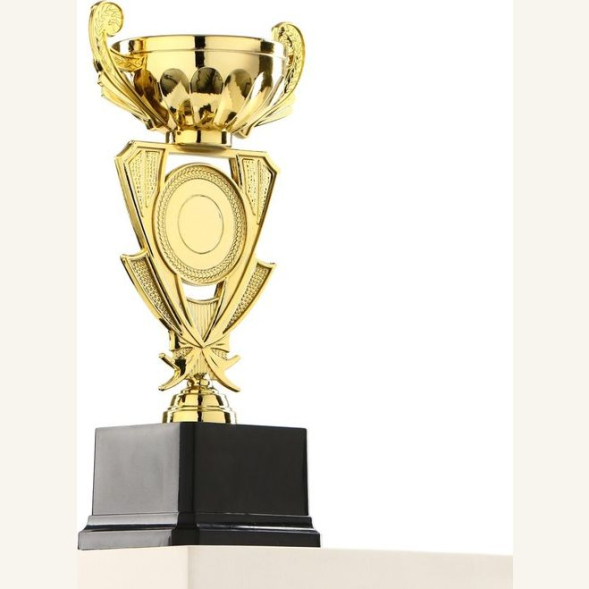 Кубок 182C, зол., подставка пластик, 21 × 10.5 × 7.5 см