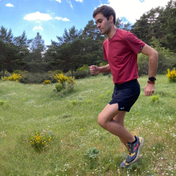 Футболка хлопковая JOMA CHAMELEON