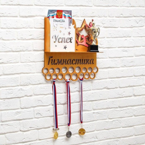 Медальница "Гимнастика" двухцветная покраска, карман, 490х500мм